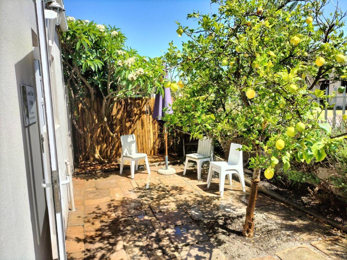 Lemon Tree Cottage Edgemead 외부 사진