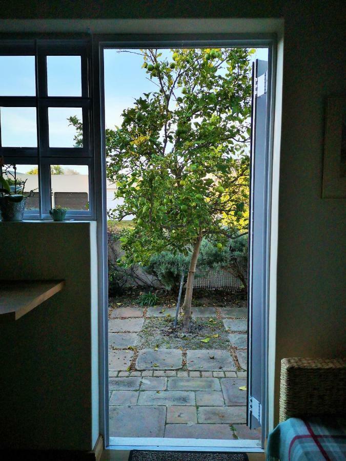 Lemon Tree Cottage Edgemead 외부 사진